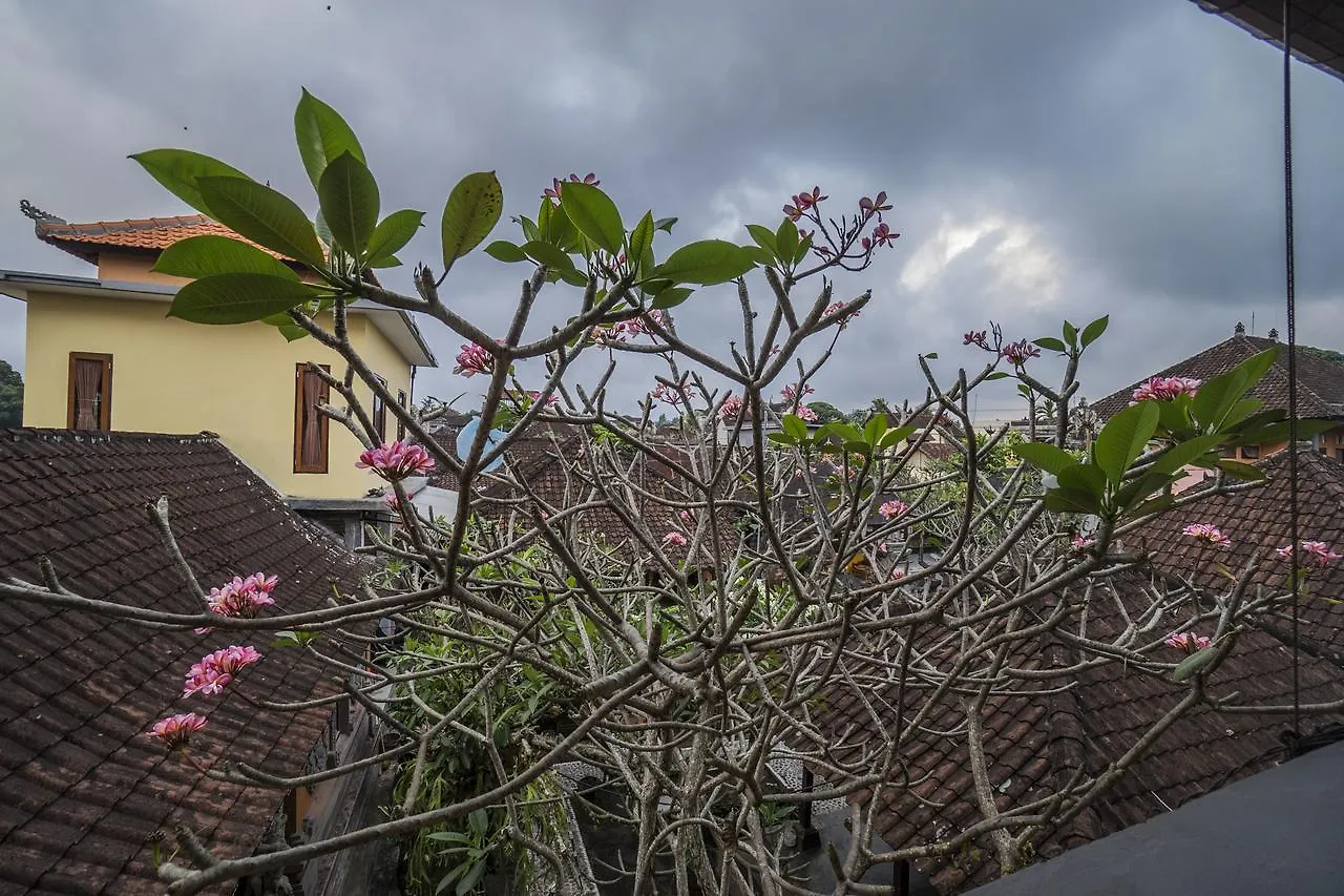 Bangbang Family House Hotel Ubud  Guest house